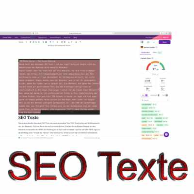 SEO Texte